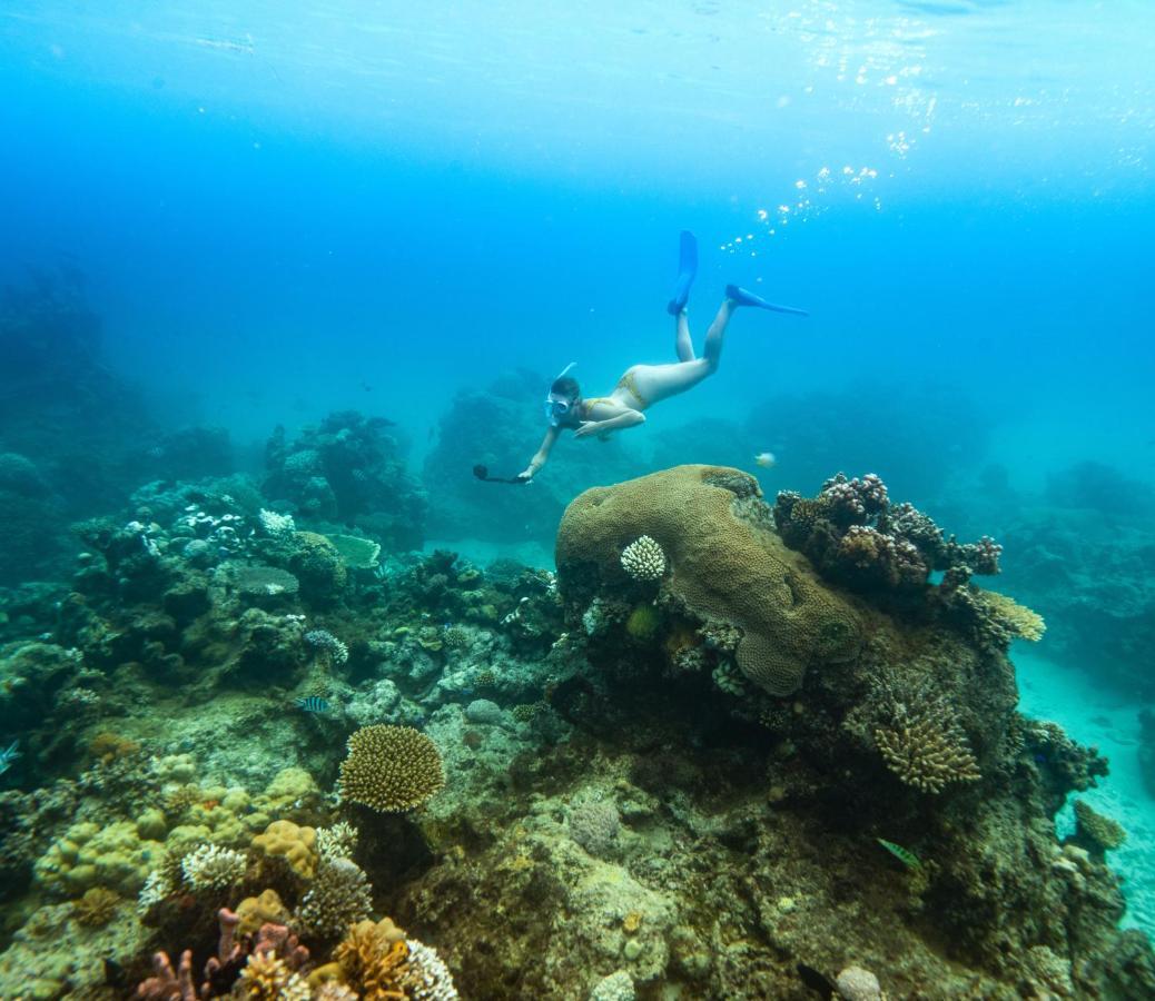 รอยัลดาวุอิไอส์แลนด์รีสอร์ท Royal Davui Island ภายนอก รูปภาพ